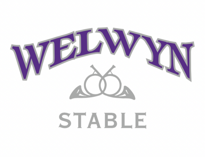 Welwyn Stable It's A Haggerty's Teams