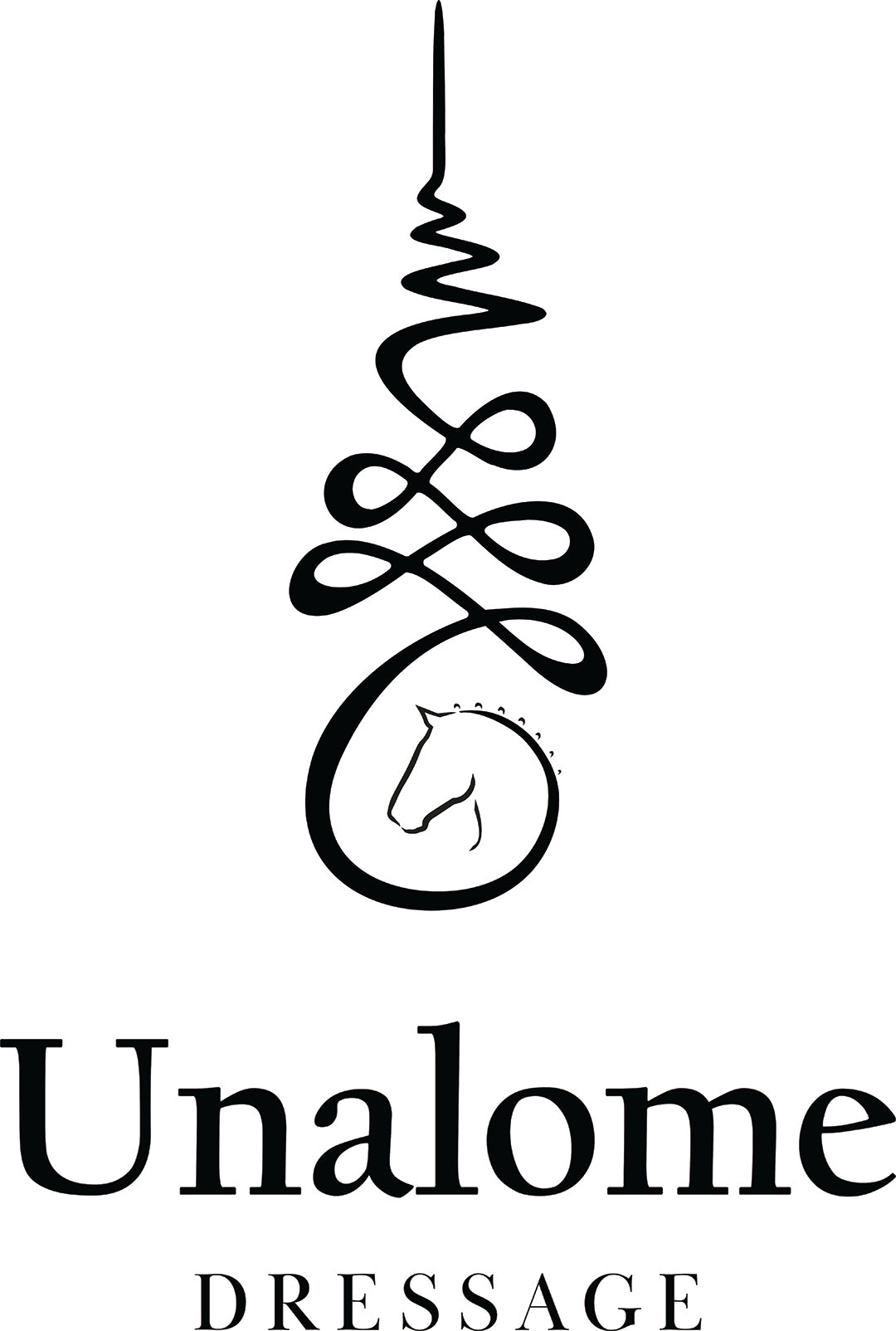 ジェレミー・レナー&ヘイリー・スタインフェルド 直筆サイン 11×14インチ Unalome Dressage – It's A Haggerty's Teams