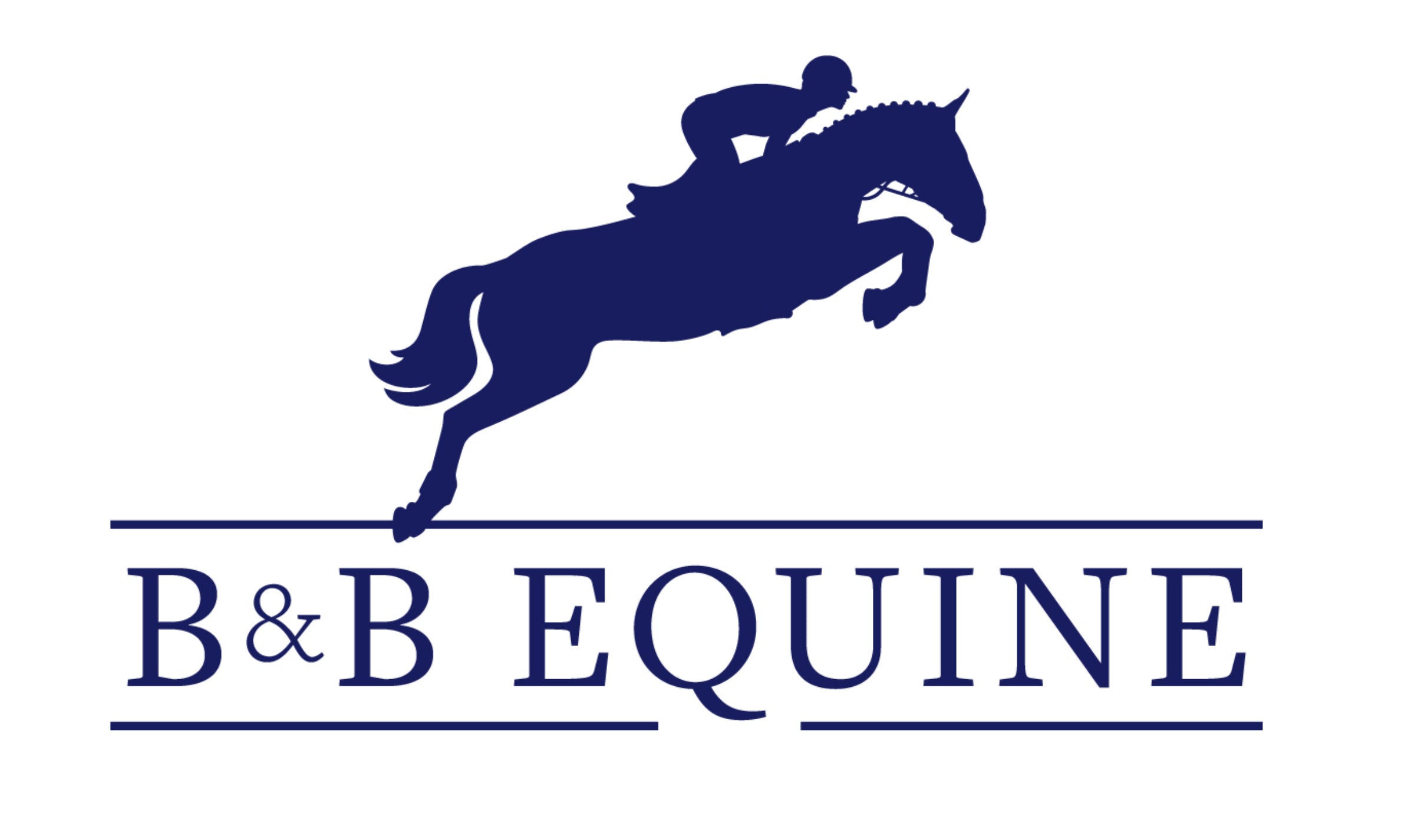 B & B Equine – It's A Haggerty's Teams