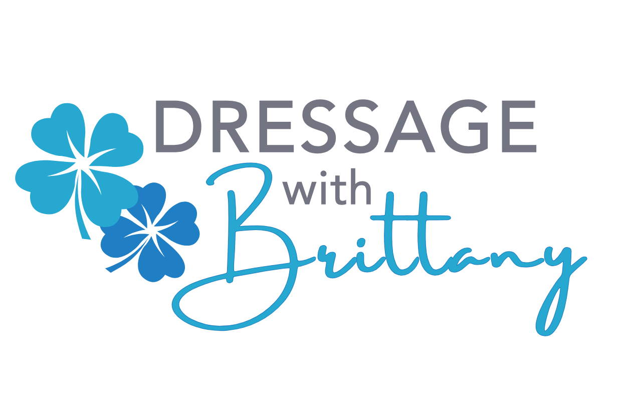 Brittany Dressage – It's A Haggerty's Teams