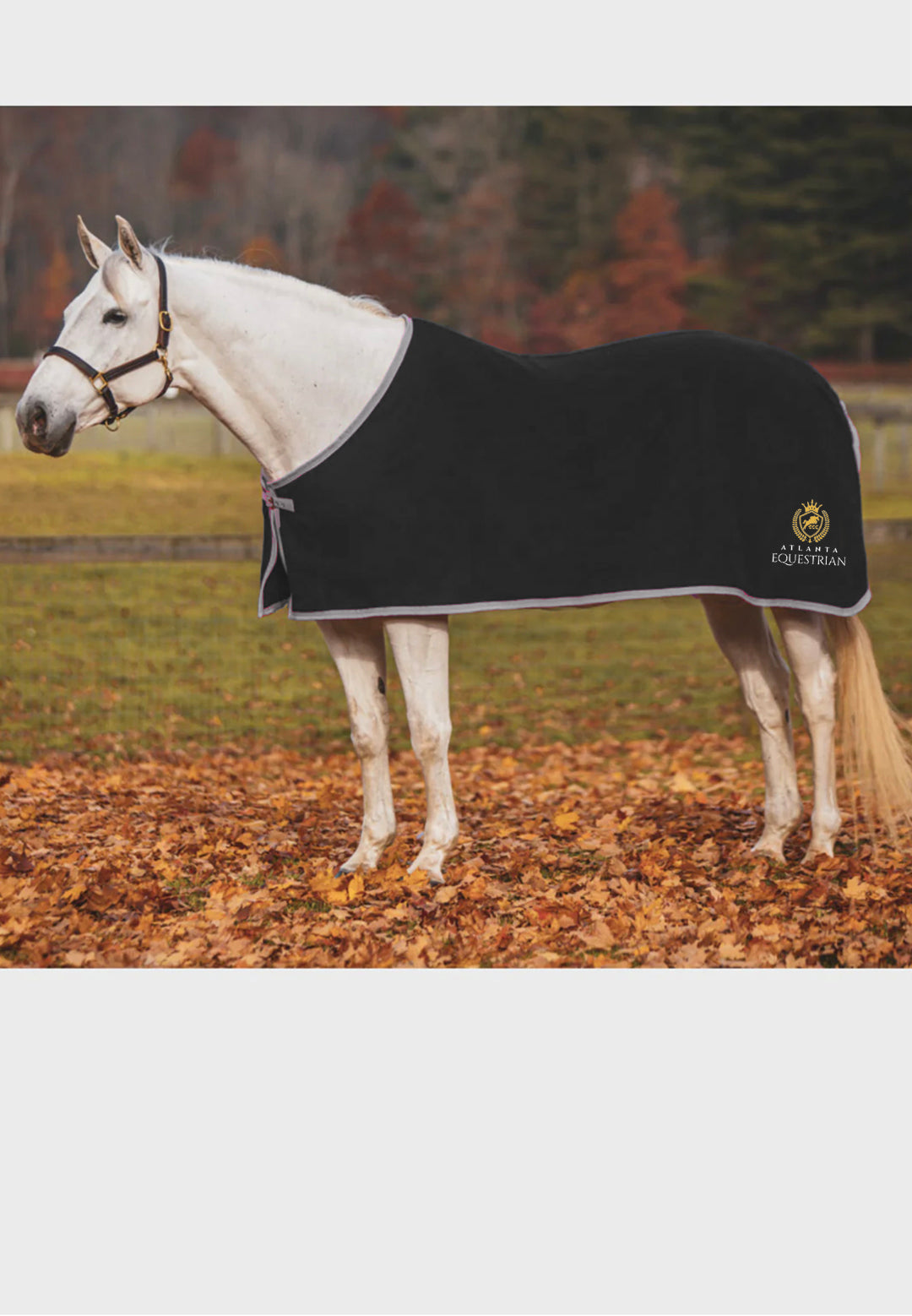 Atlanta Equestrian JACKS COOLERFLEECE DRESS SHEET