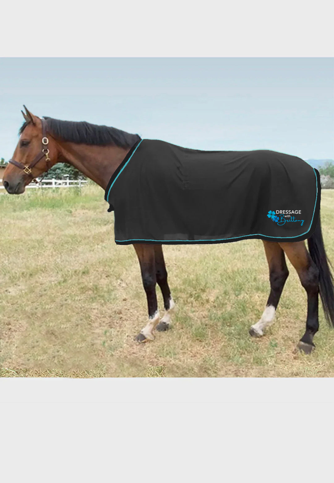 Brittany Dressage Jacks Scrim Fly Sheet