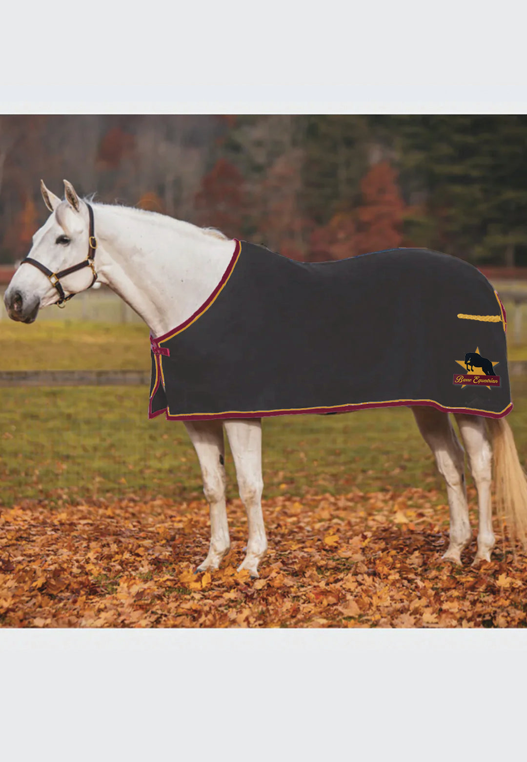 Barre Equestrian JACKS COOLERFLEECE DRESS SHEET