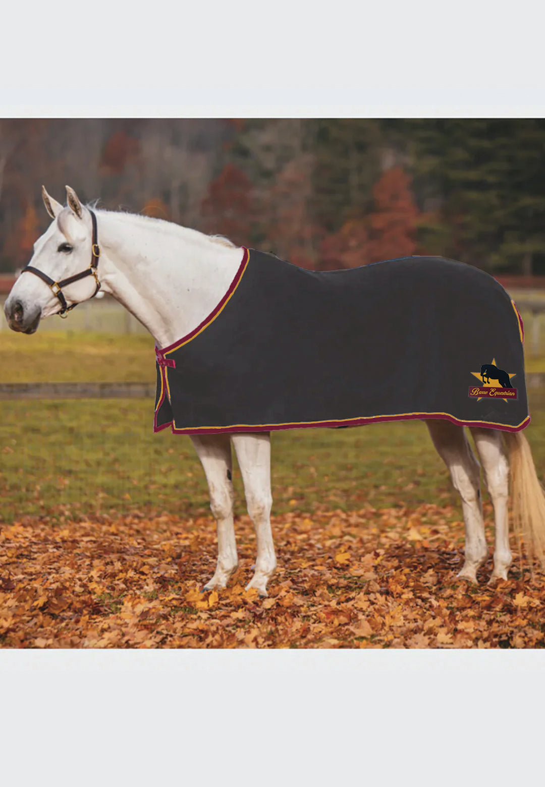 Barre Equestrian JACKS COOLERFLEECE DRESS SHEET