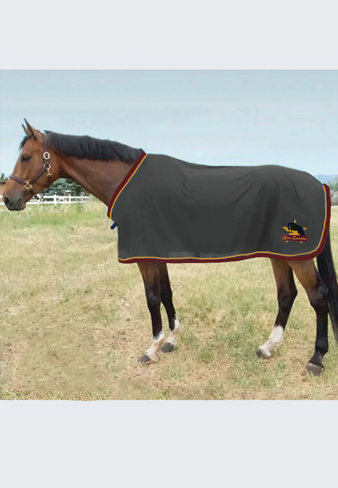 Barre Equestrian Scrim Fly Sheet
