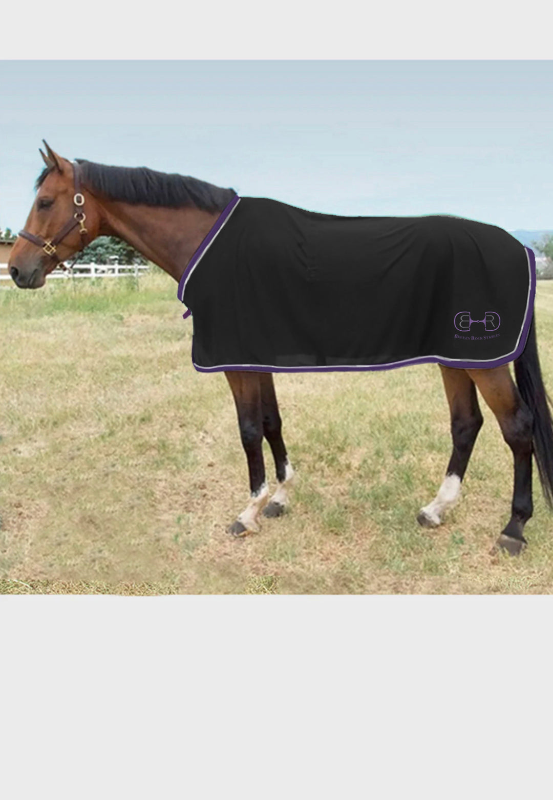 Breezy Rock Stables Jacks Scrim Fly Sheet - Black