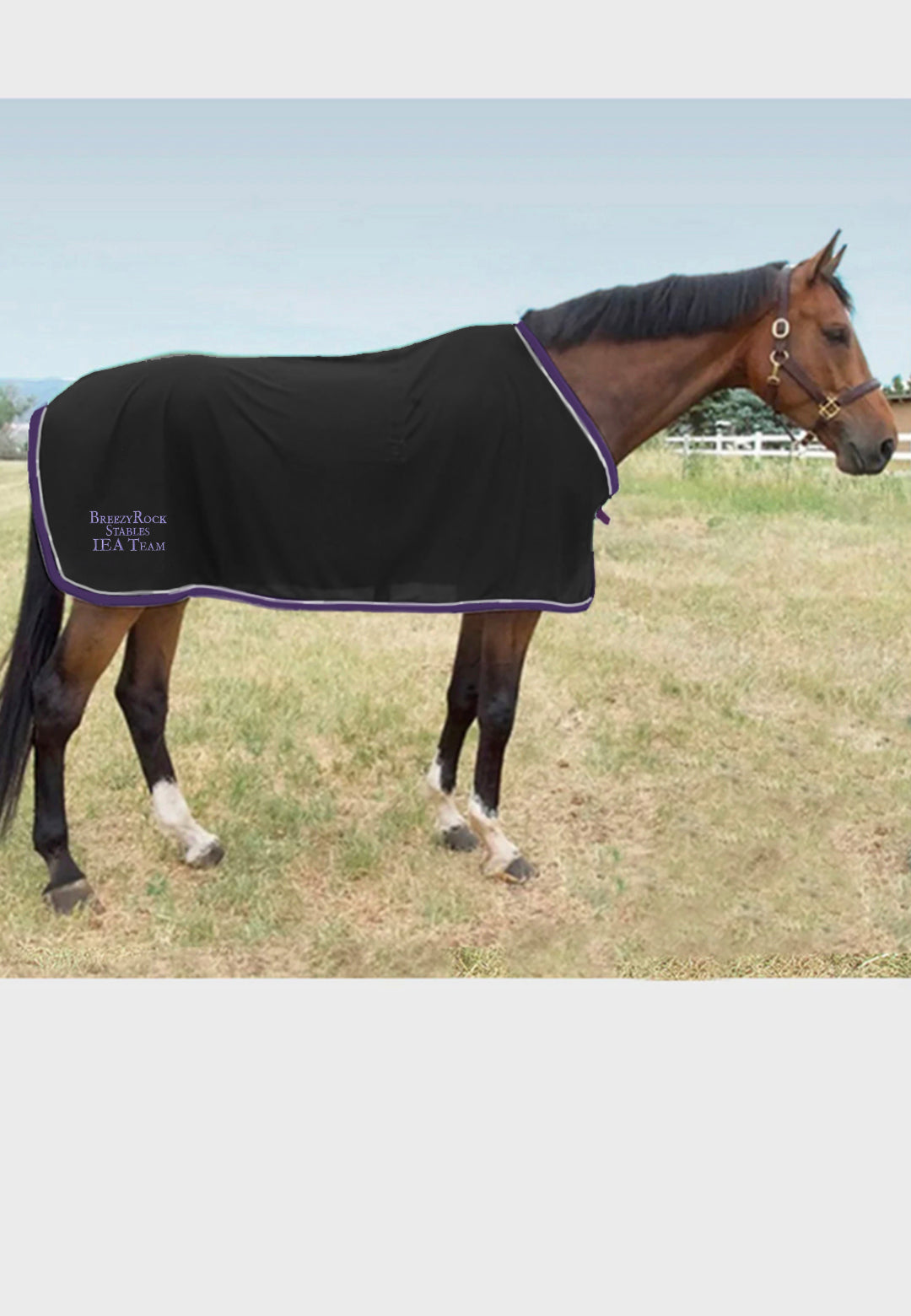 Breezy Rock Stables Jacks Scrim Fly Sheet - Black