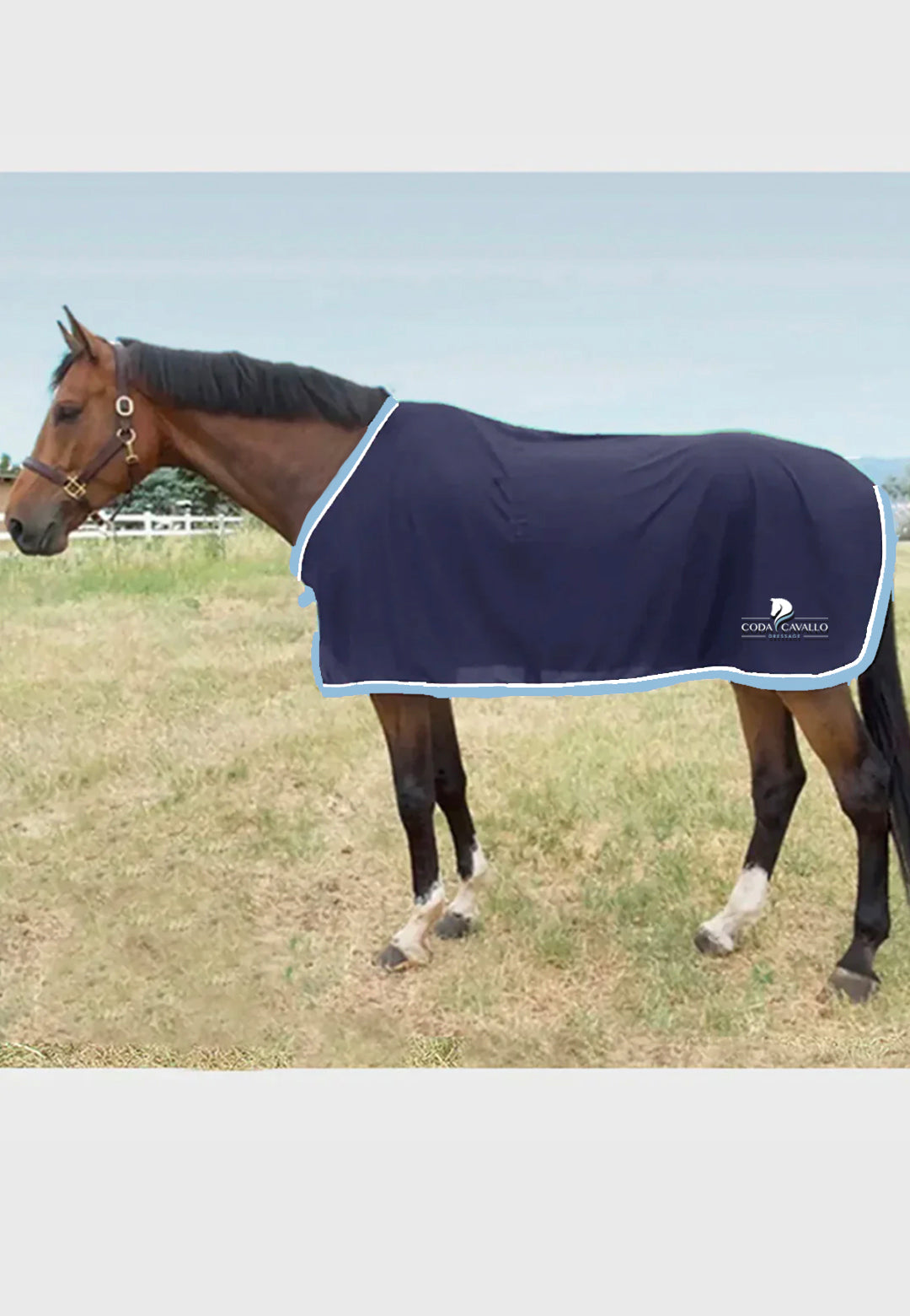 Coda Cavallo Dressage Scrim Fly Sheet