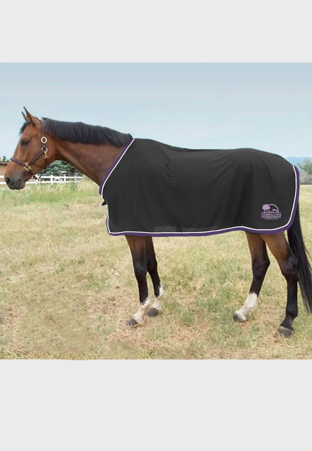 Corralitos Riding Club Jacks Scrim Fly Sheet, Horse + Pony Sizes