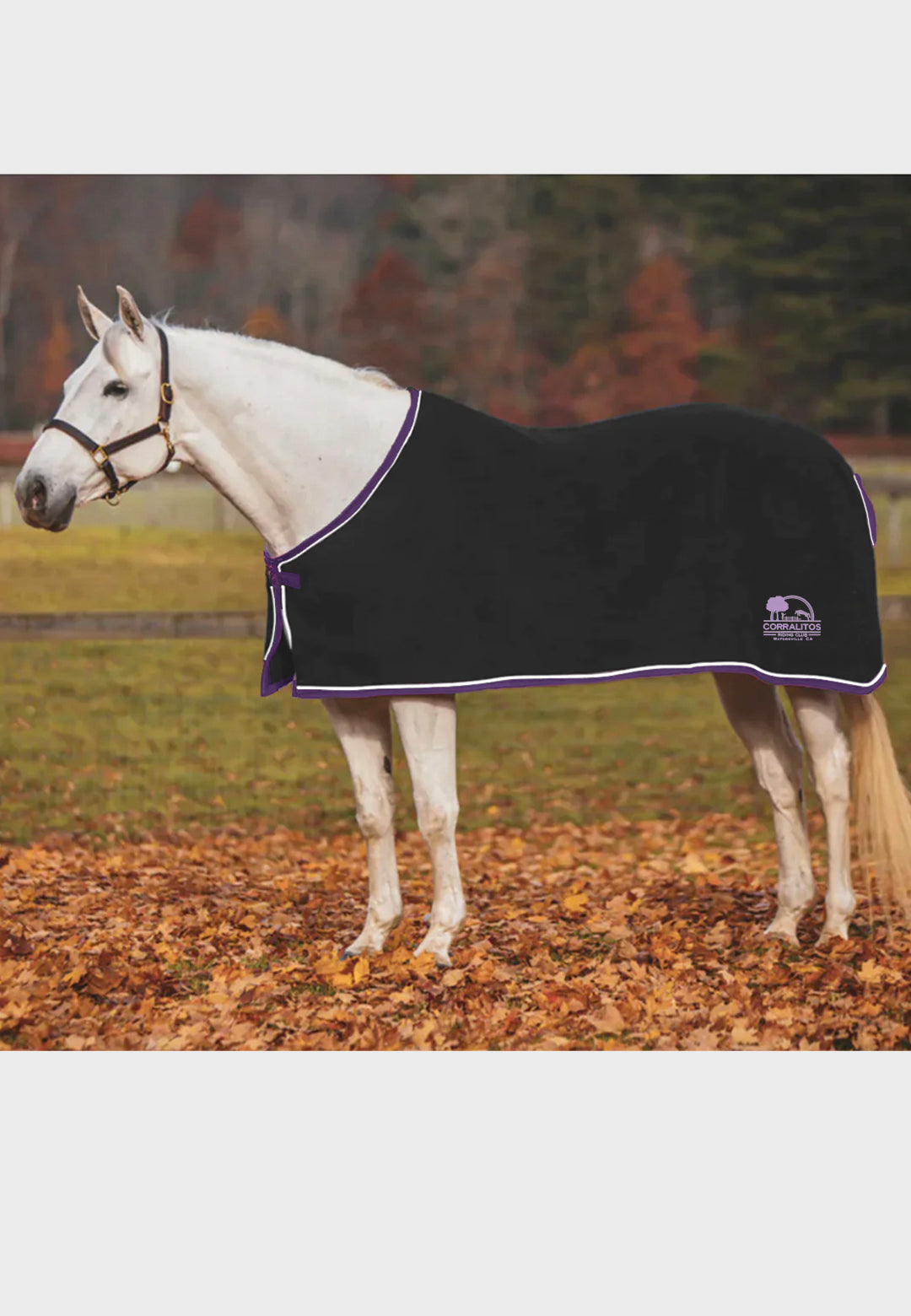 Corralitos Riding Club Jacks Coolerfleece Dress Sheet, Horse + Pony Sizes