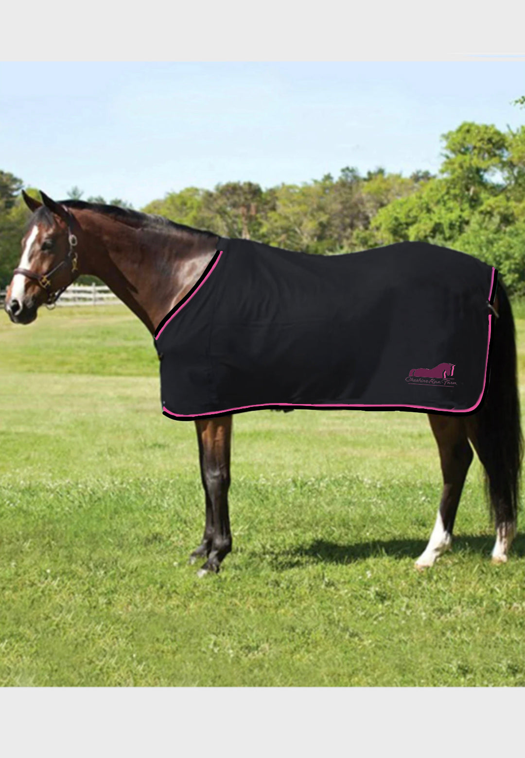 Cheshire Run Farm JACKS COOLERFLEECE DRESS SHEET