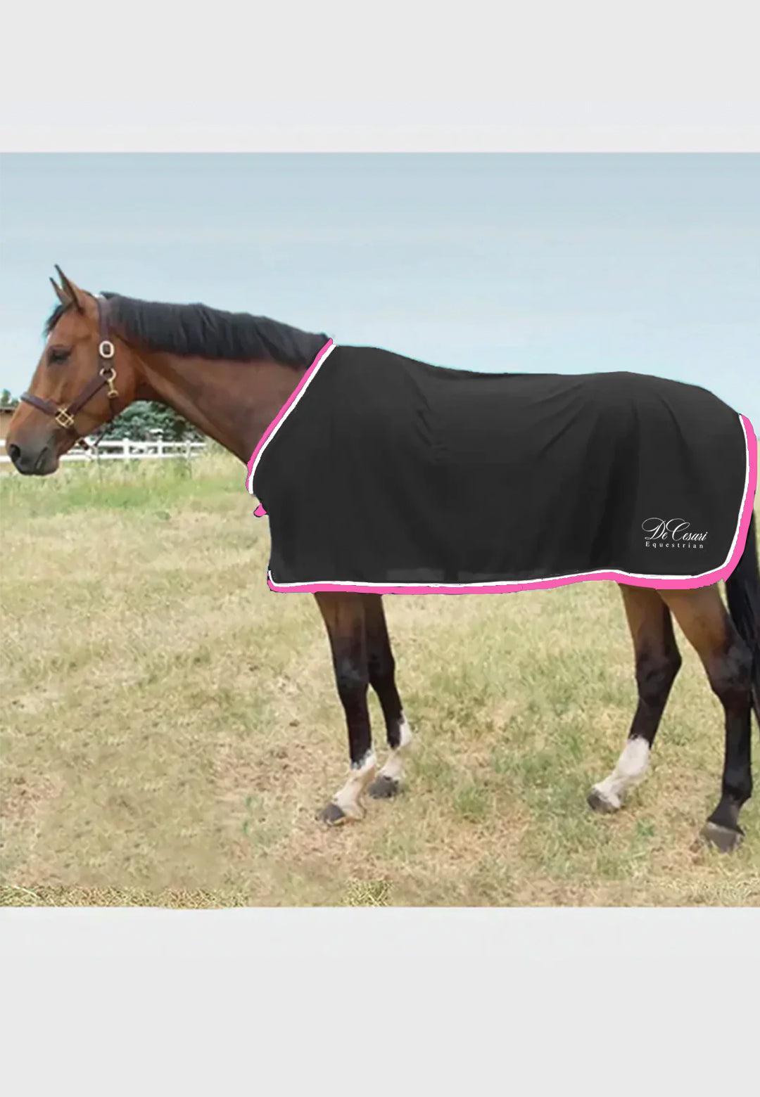 DeCesari Equestrian Scrim Fly Sheet