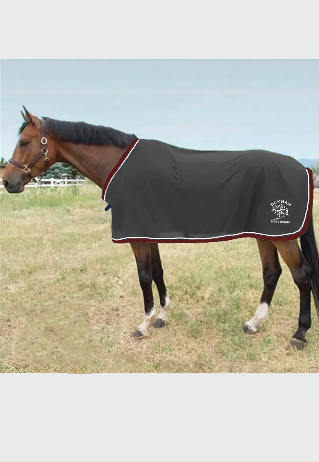 Dunham Sport Horses Scrim Fly Sheet