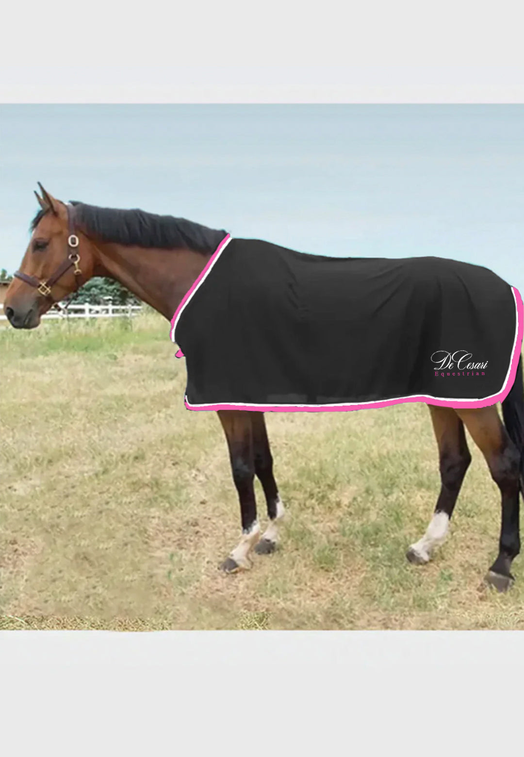 DeCesari Equestrian Scrim Fly Sheet