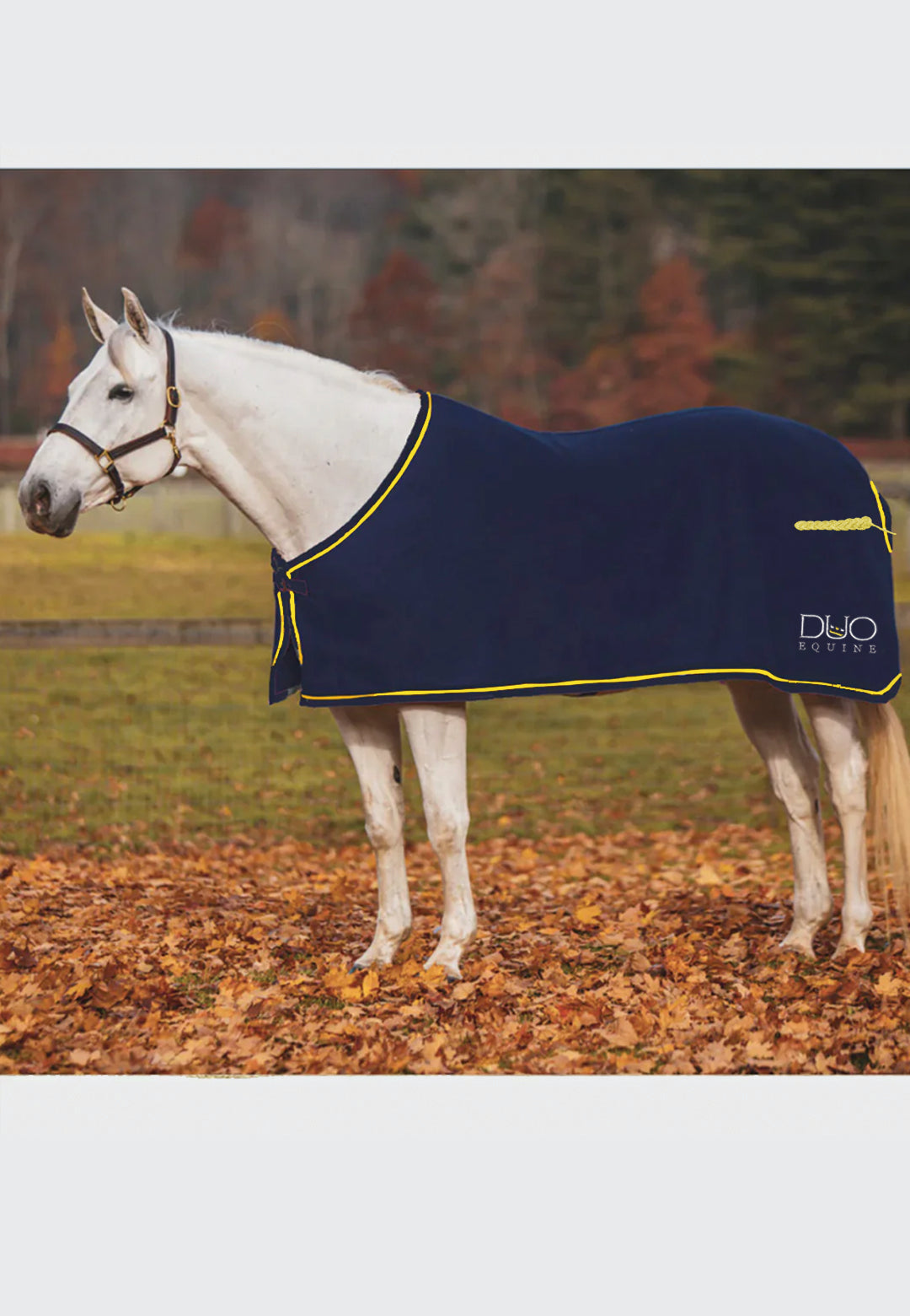 Duo Equine JACKS COOLERFLEECE DRESS SHEET