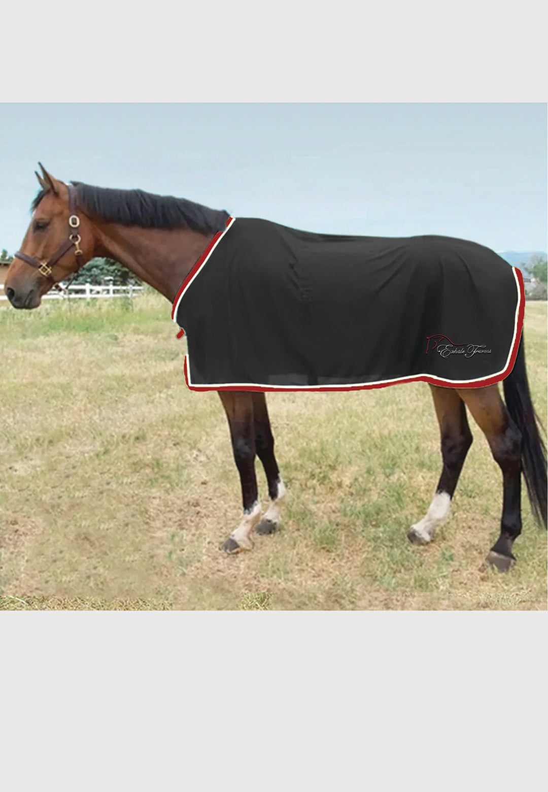 Exhale Farm Jacks Scrim Fly Sheet