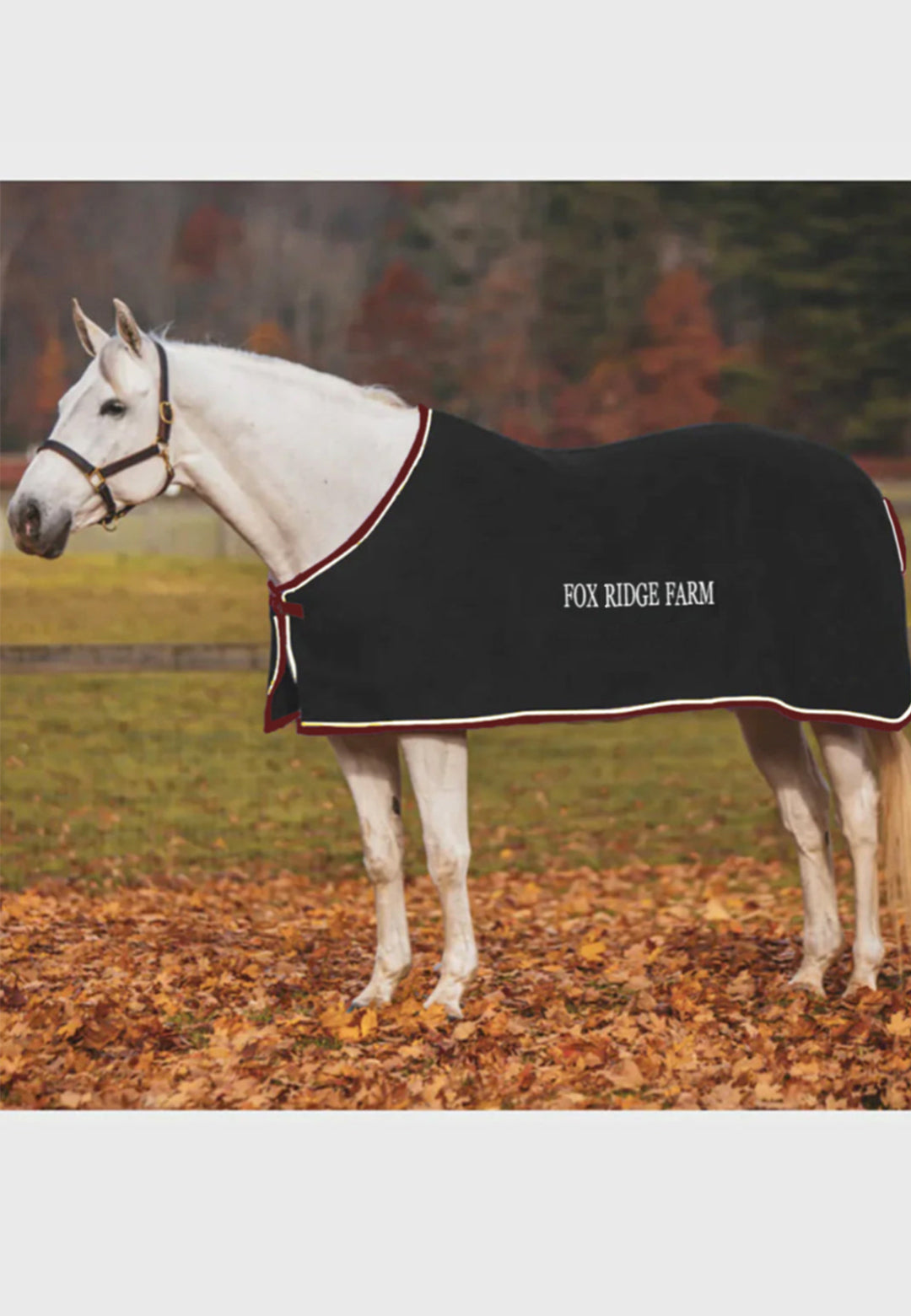 Fox Ridge Farm COOLERFLEECE DRESS SHEET