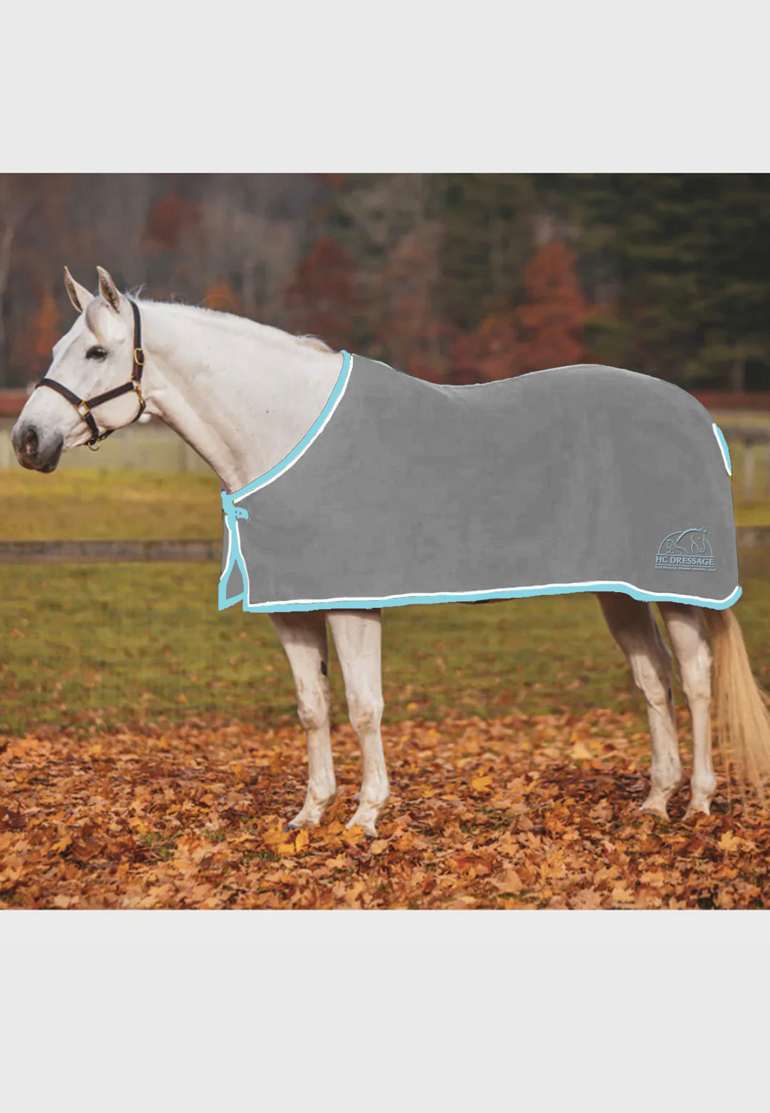 HC Dressage COOLERFLEECE DRESS SHEET