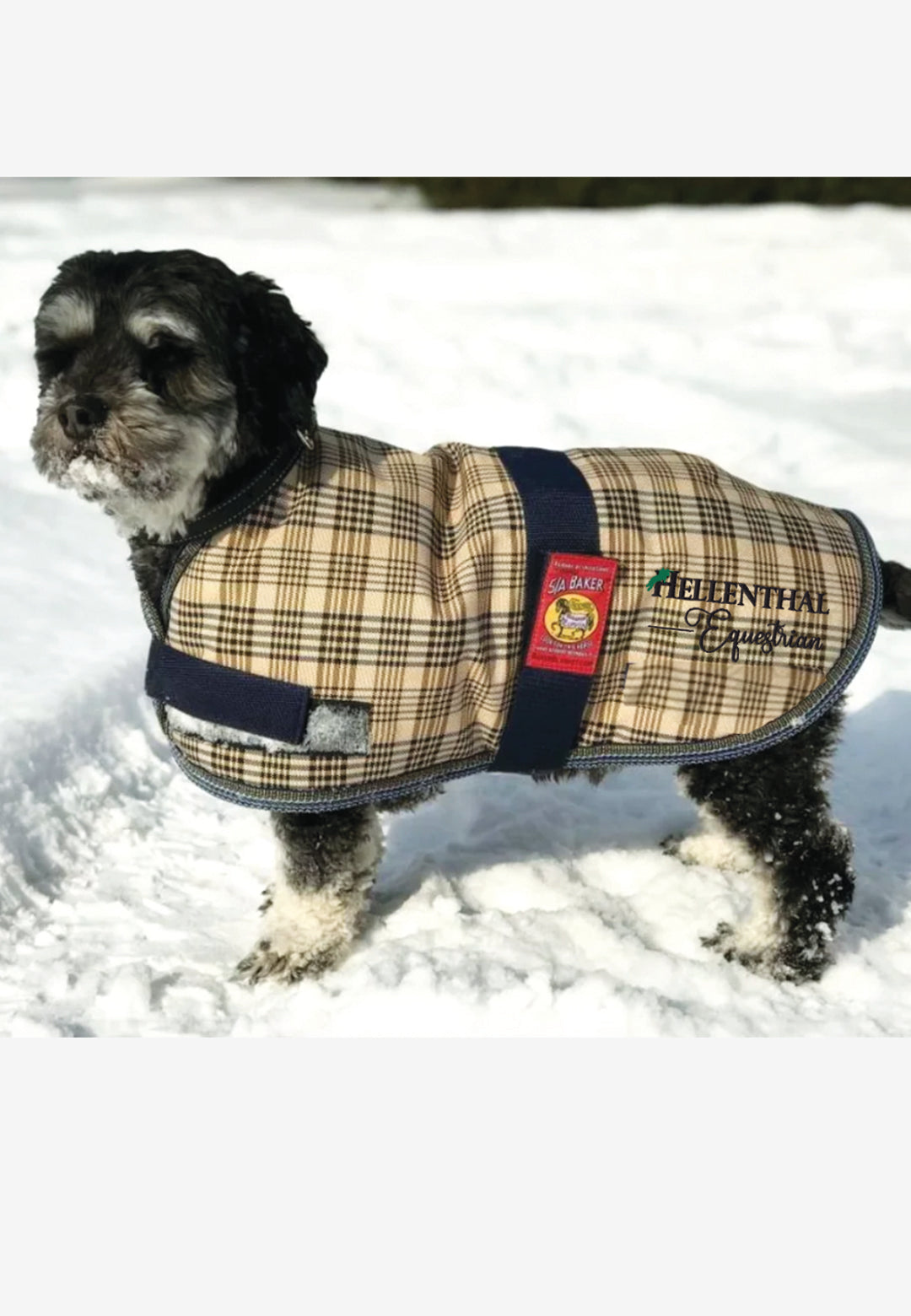 Hellenthal Equestrian Baker® Dog Coat