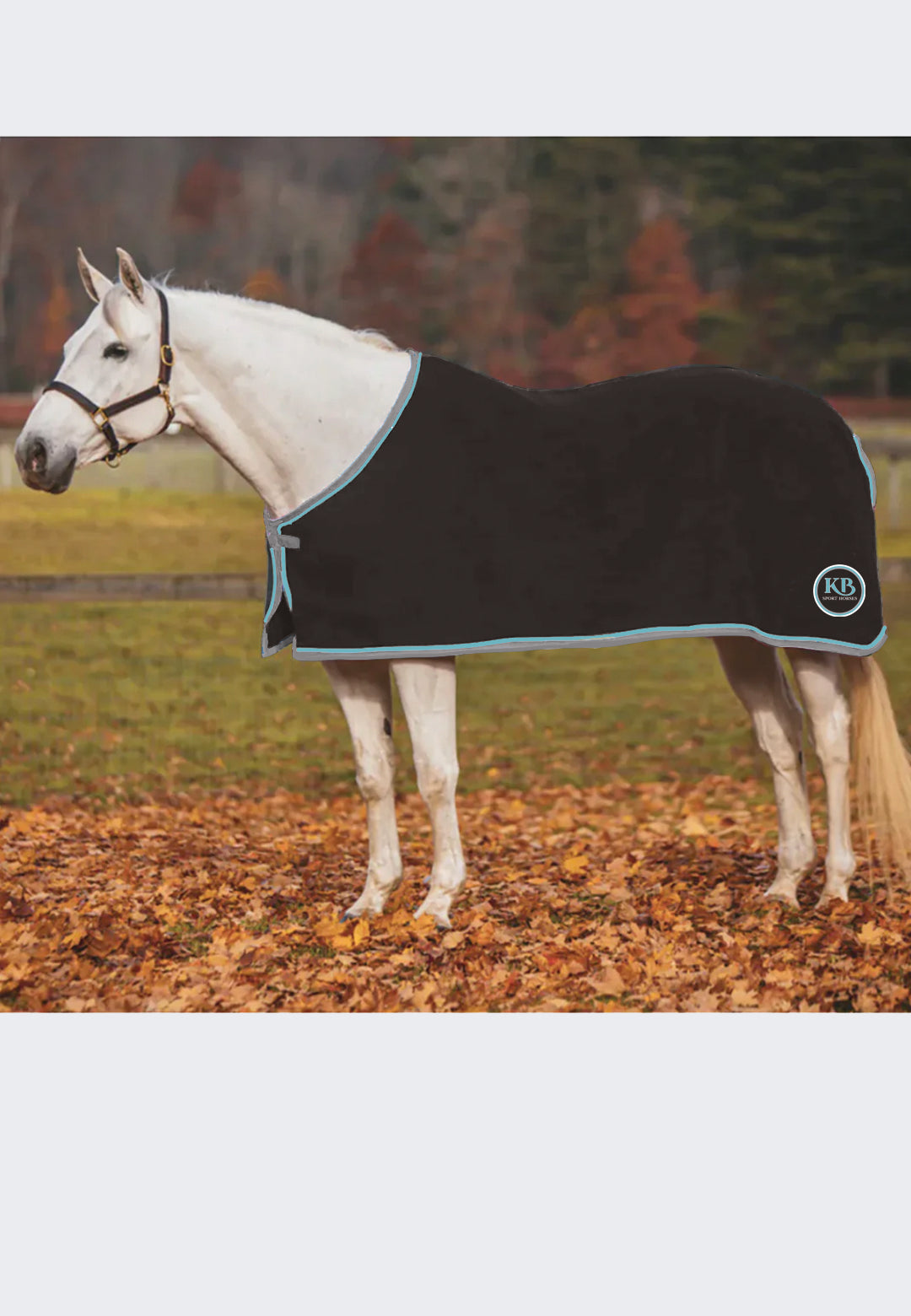 KB Sport Horses Jacks Coolerfleece Dress Sheet, Horse + Pony Sizes
