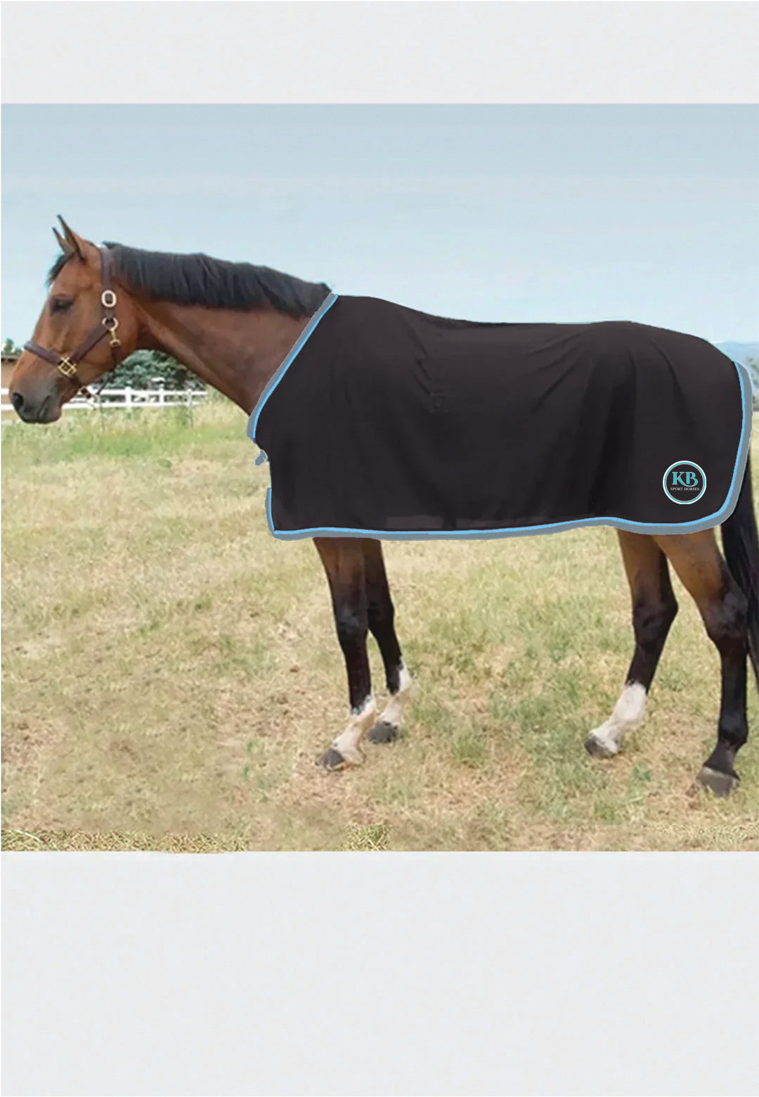 KB. Sport Horses Jacks Scrim Fly Sheet, Horse + Pony Sizes