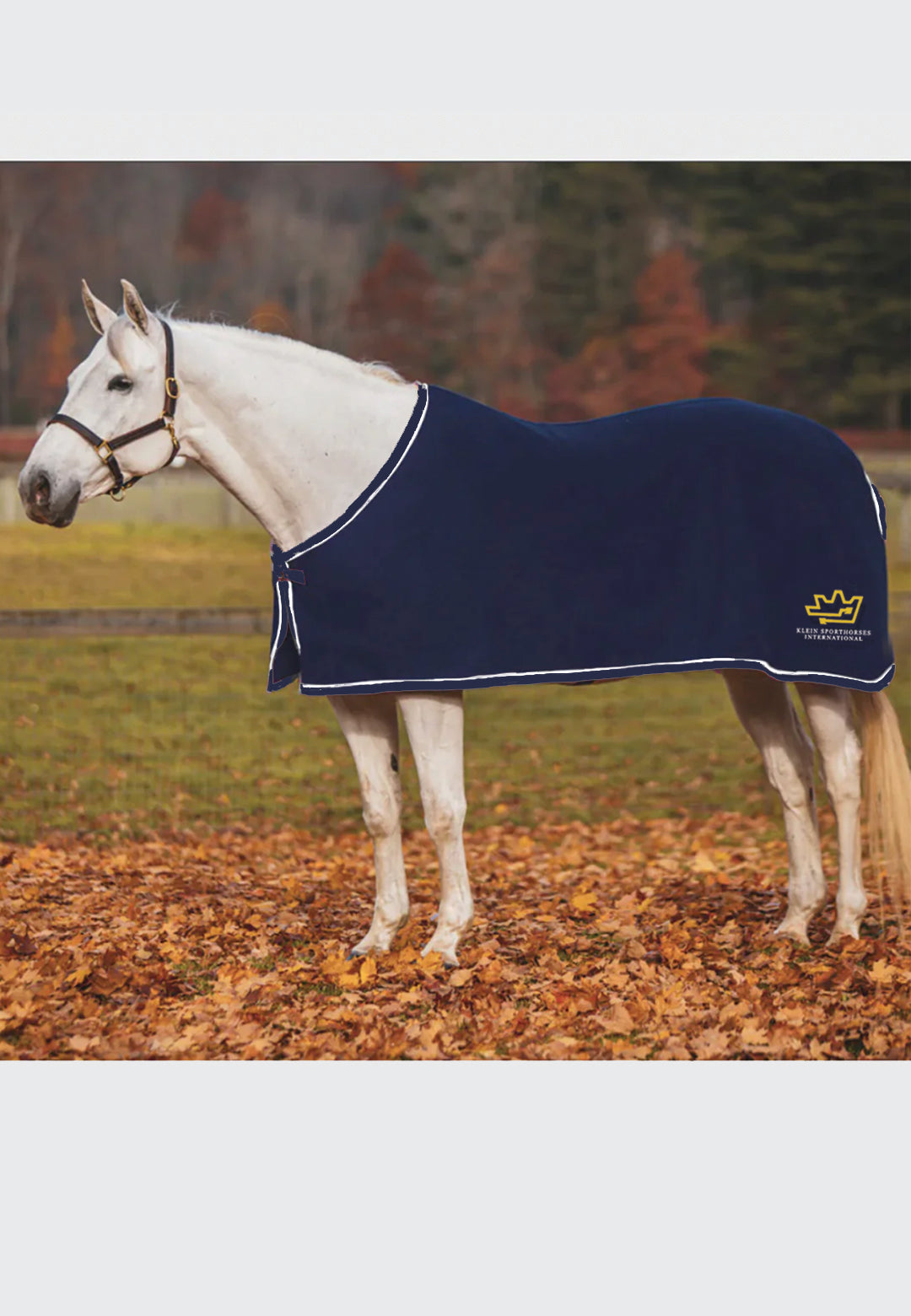 Klein Sporthorses International JACKS COOLERFLEECE DRESS SHEET