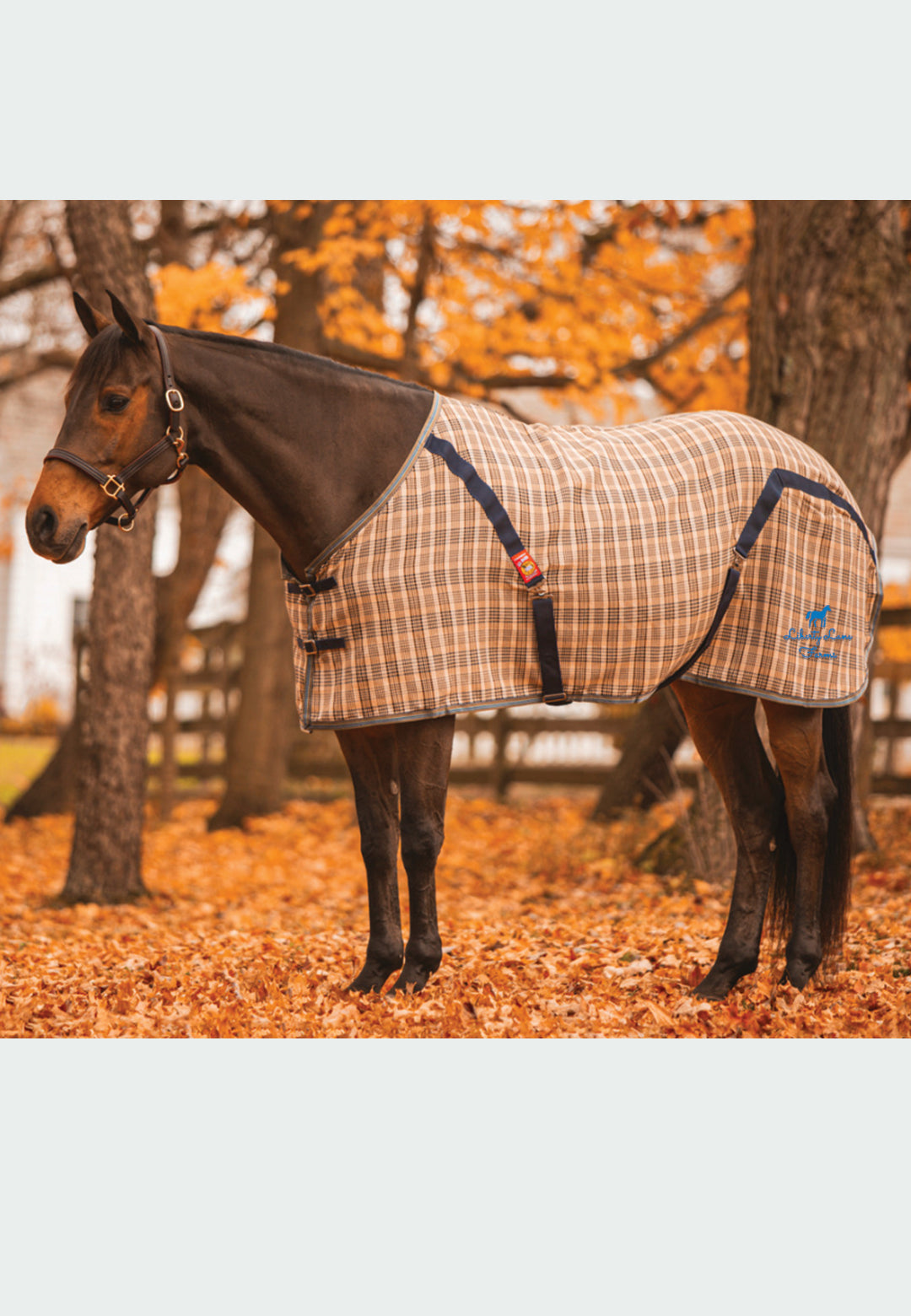 Liberty Lane Farms 5/A Baker® Stable Sheet, Horse + Pony Sizes