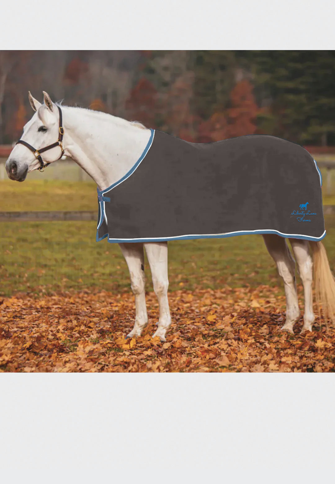 Liberty Lane Farms Jacks Coolerfleece Dress Sheet, Horse + Pony Sizes