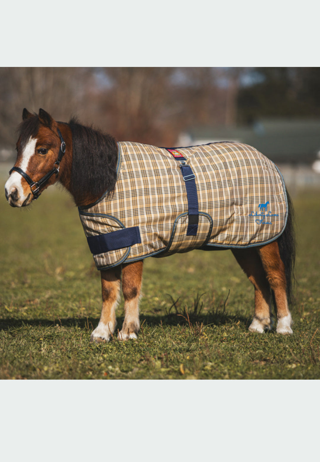 Liberty Lane Farms 5/A Baker® Medium Weight Expand-O-Blanket Turnout for Foal & Pony