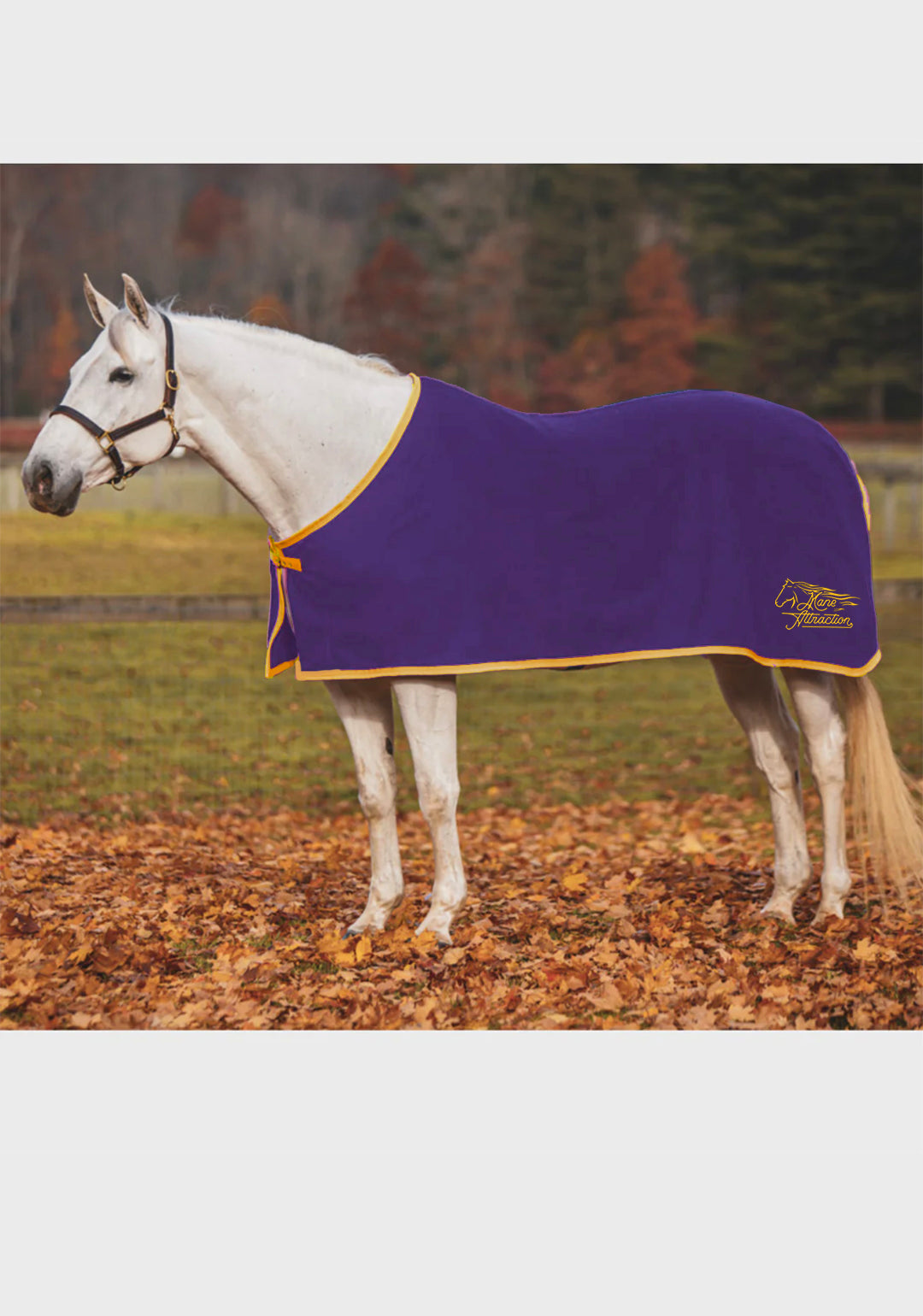 Mane Attraction JACKS COOLERFLEECE DRESS SHEET