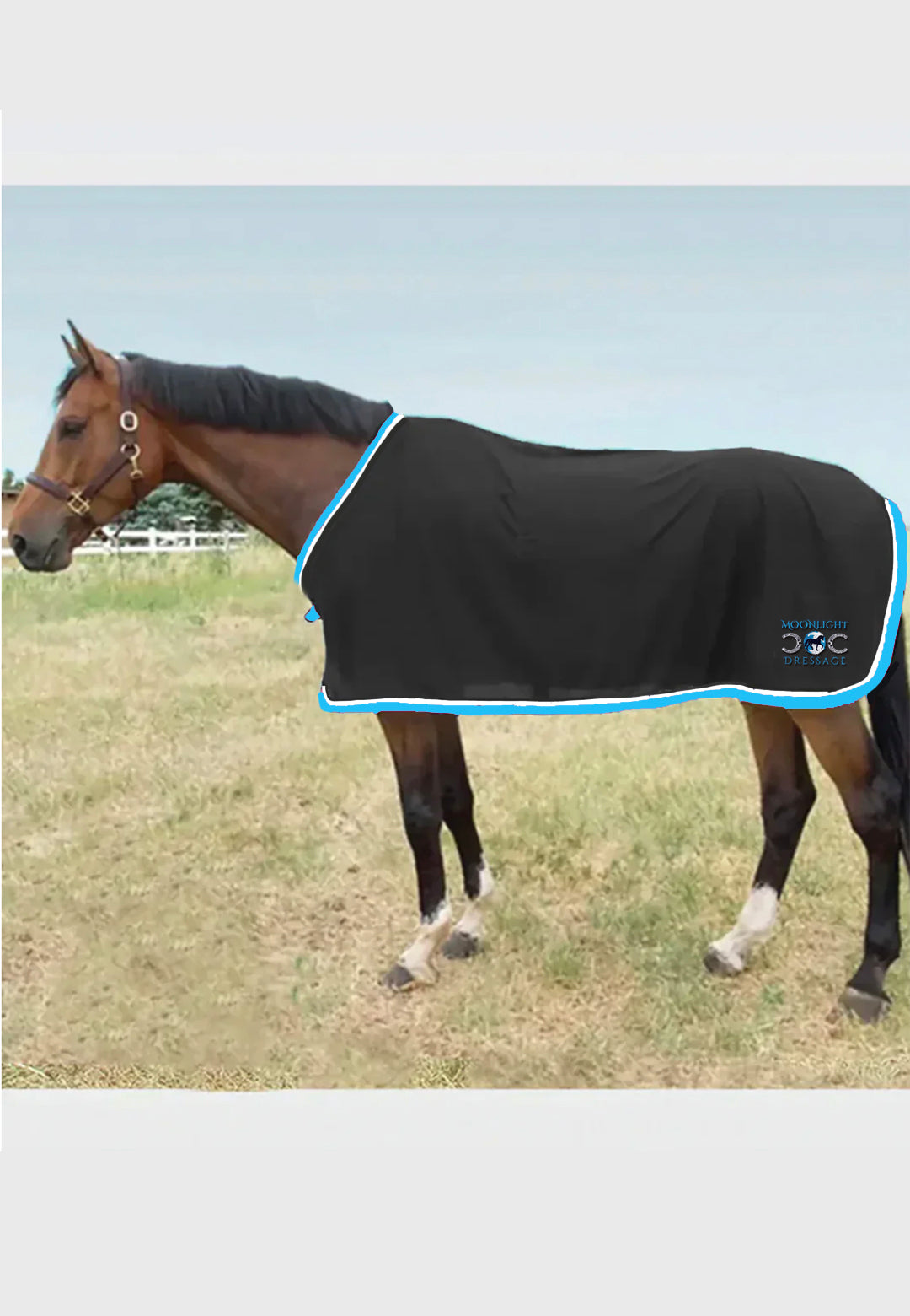 Moonlight Dressage Scrim Fly Sheet