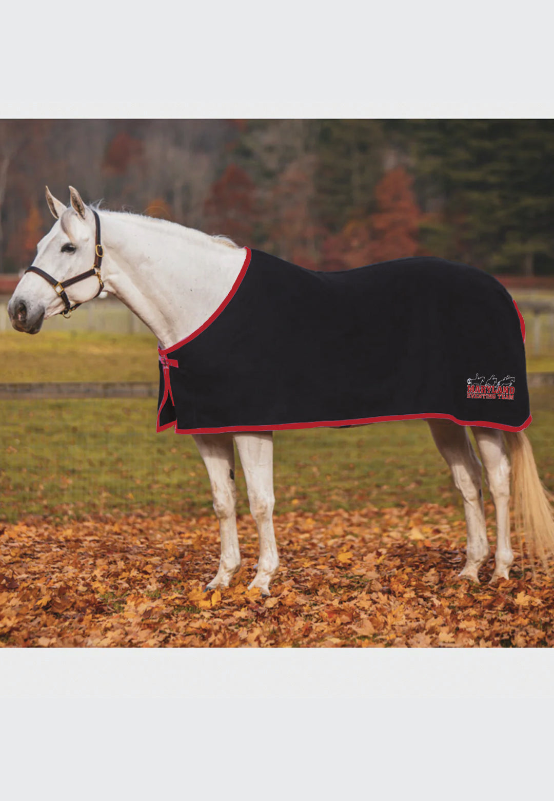 Maryland Eventing Team JACKS COOLERFLEECE DRESS SHEET