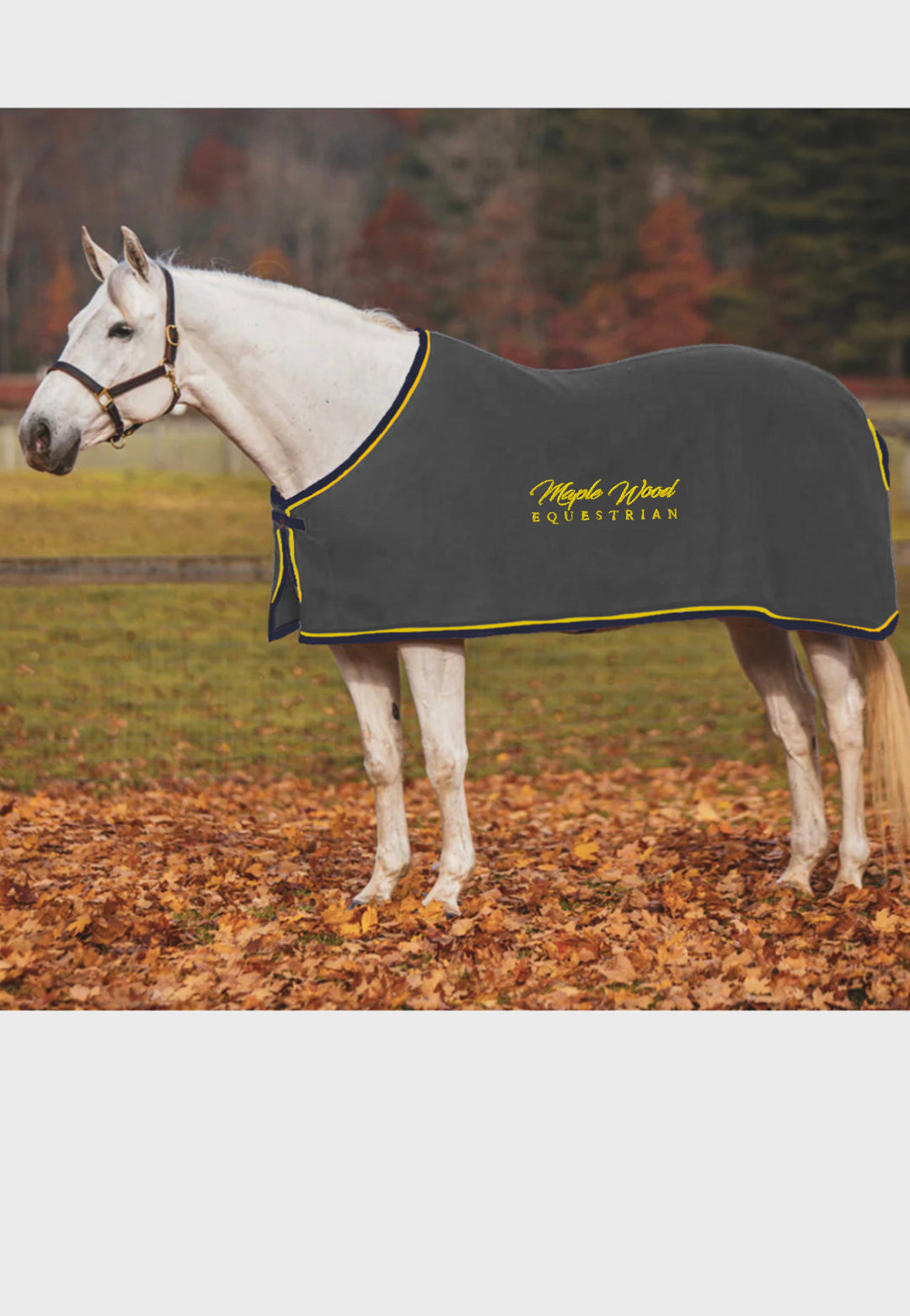 Maple Wood Equestrian JACKS COOLERFLEECE DRESS SHEET, 2 Color Options