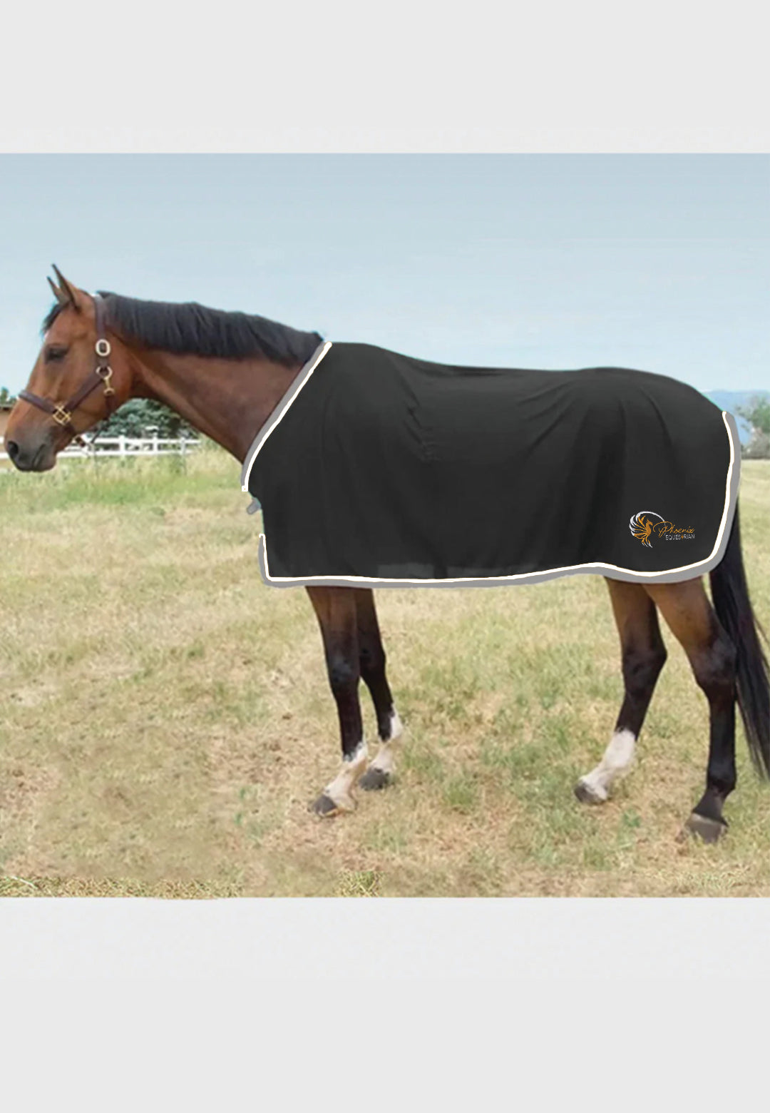 Phoenix Equestrian Team Scrim Fly Sheet