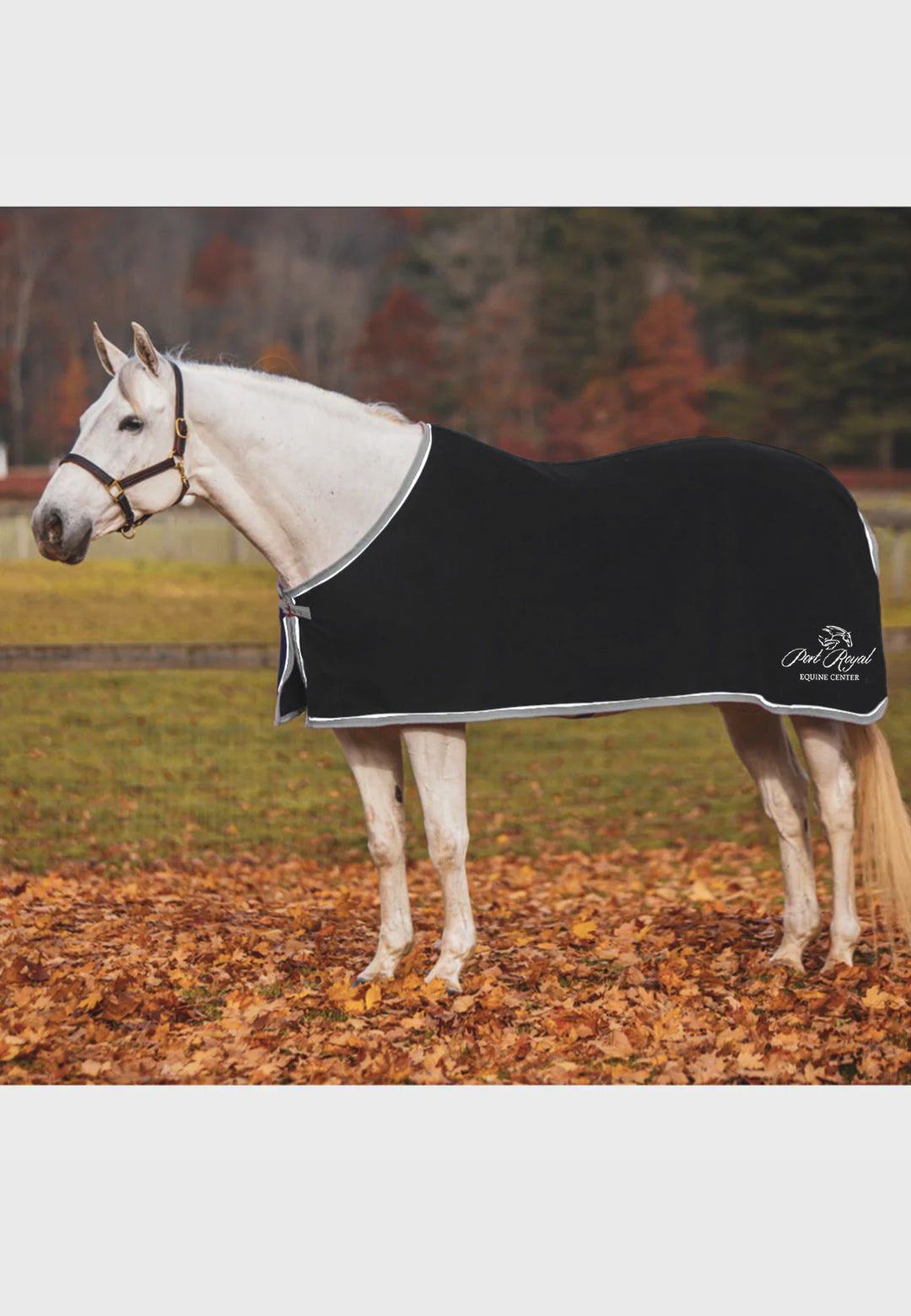Port Royal Equine Center Jacks COOLERFLEECE DRESS SHEET