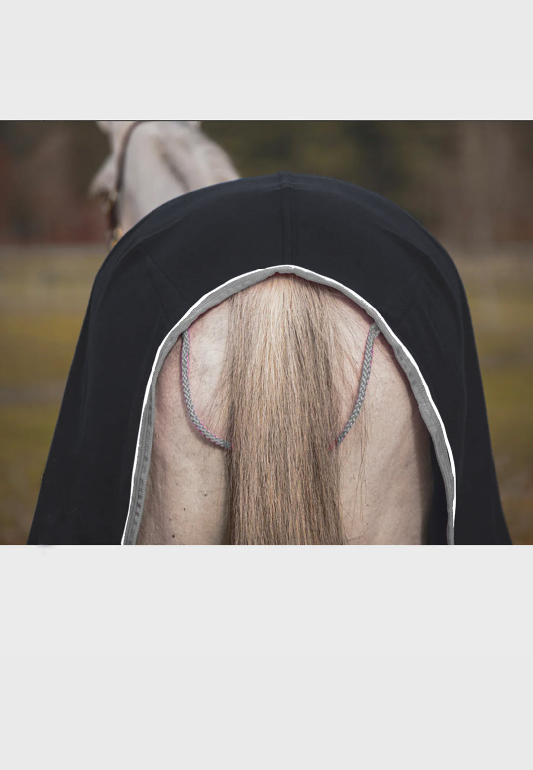 Port Royal Equine Center Jacks COOLERFLEECE DRESS SHEET