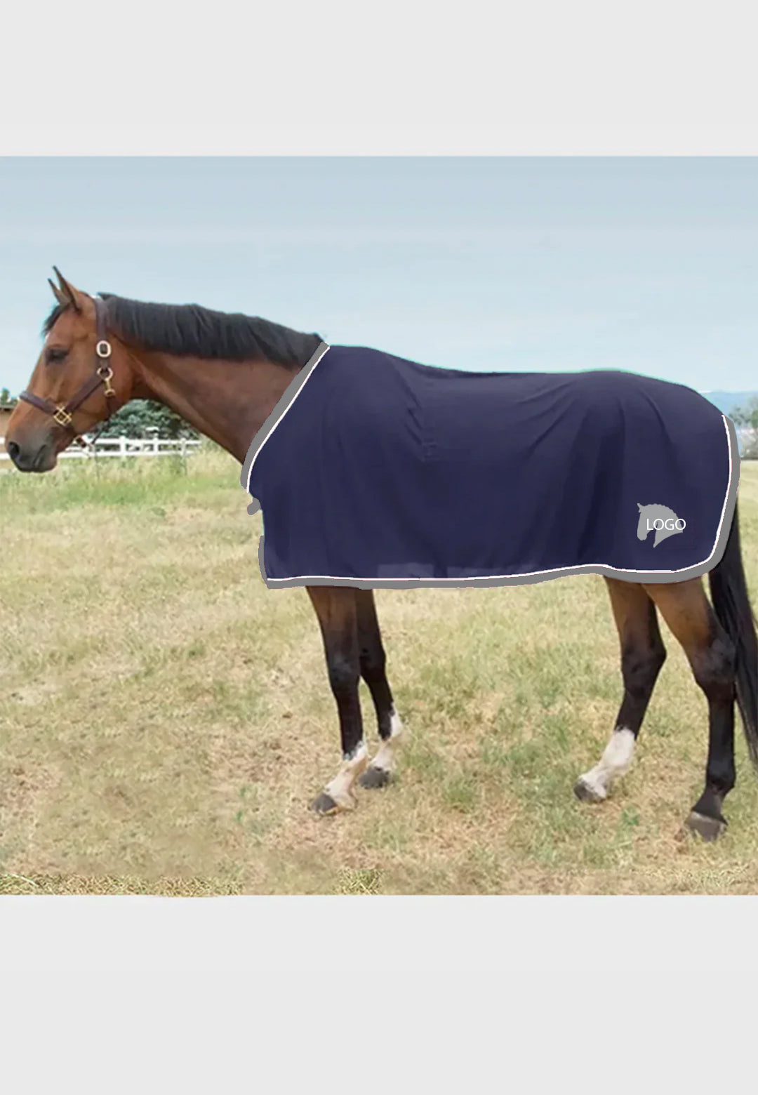 Package B Scrim Fly Sheet