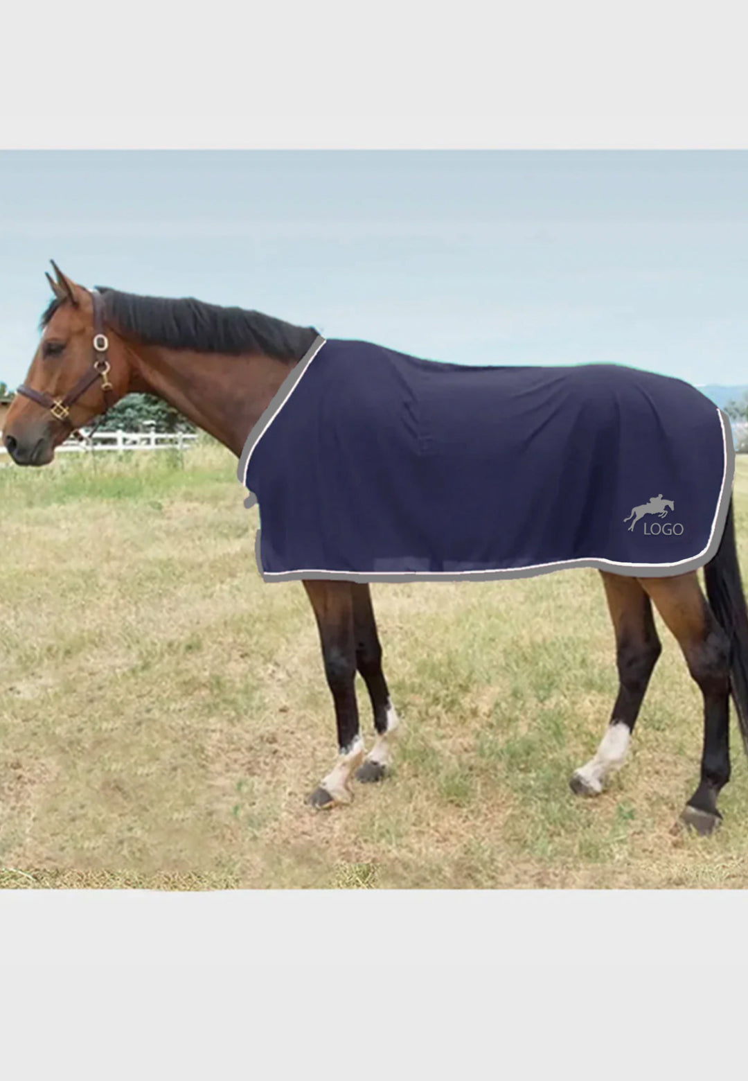 Package B Scrim Fly Sheet