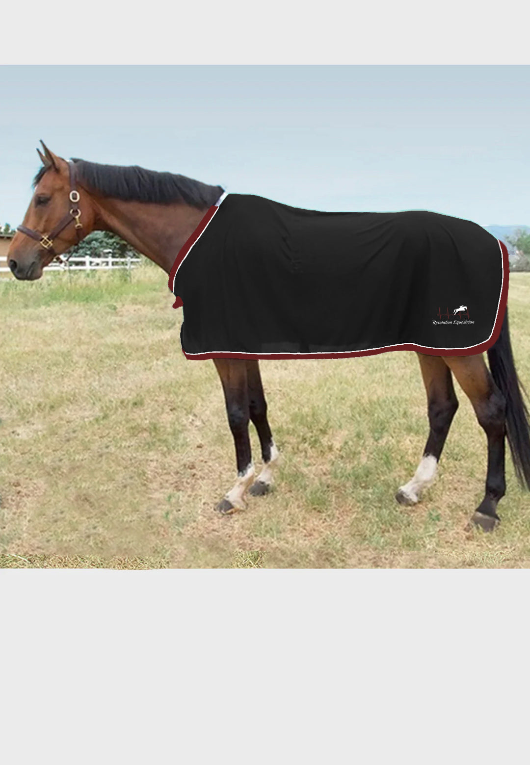 Revolution Equestrian JACKS COOLERFLEECE DRESS SHEET