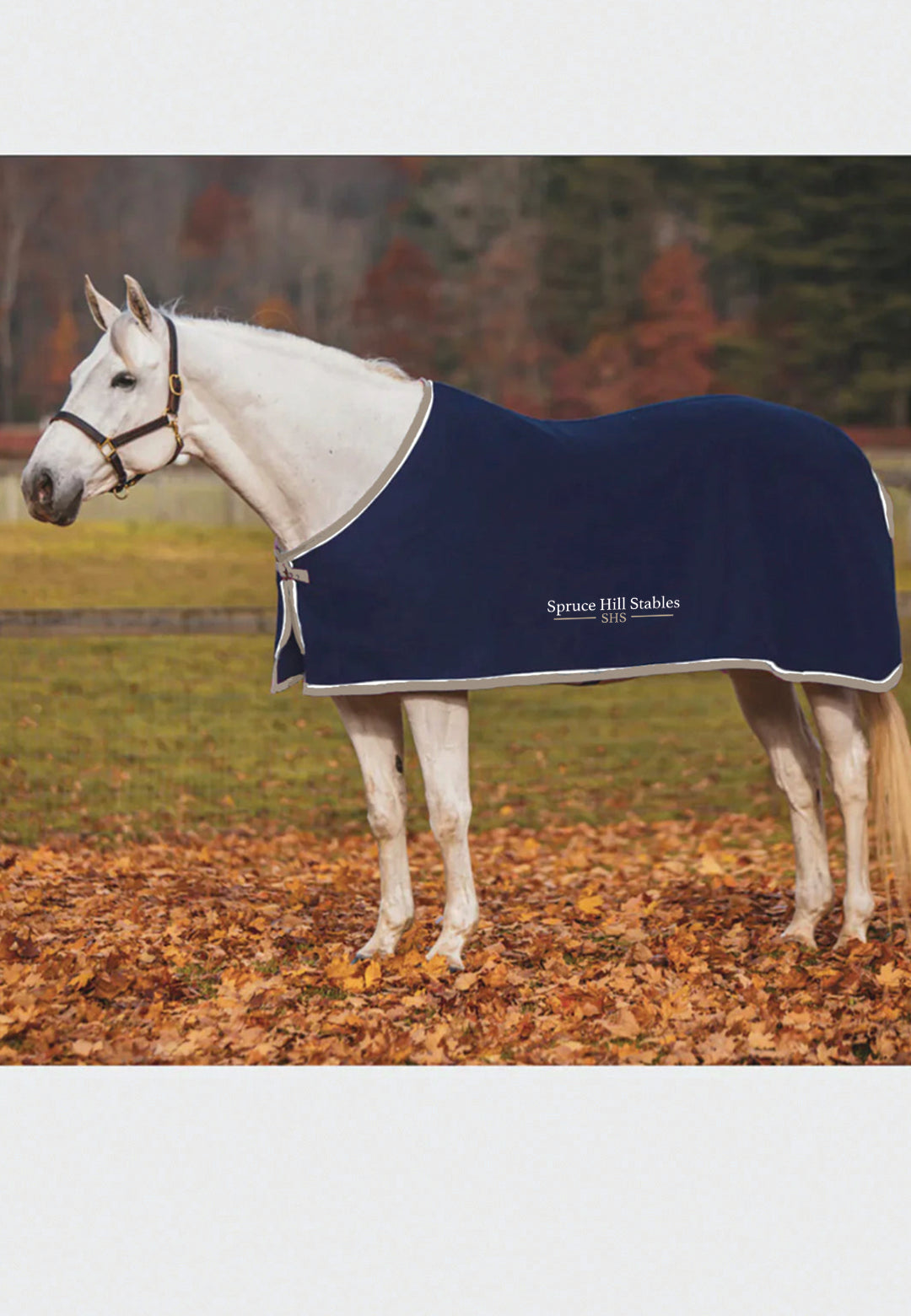 Spruce Hill Stables JACKS COOLERFLEECE DRESS SHEET