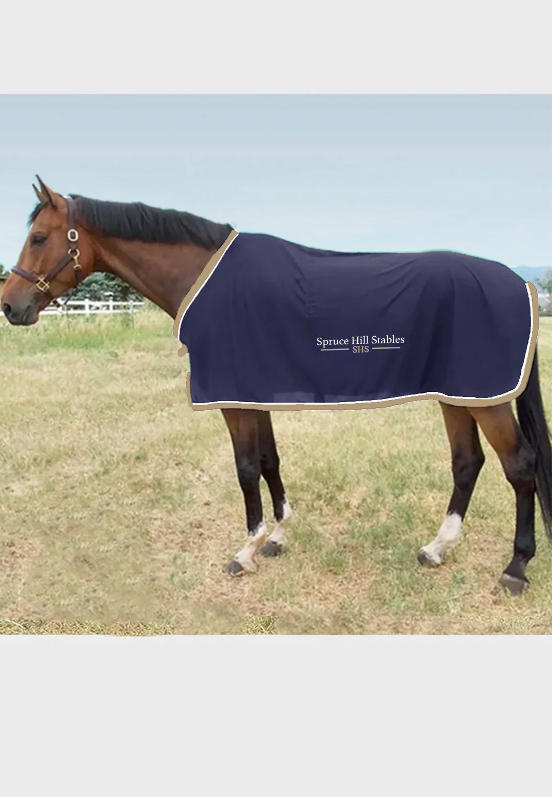 Spruce Hill Stables Scrim Fly Sheet