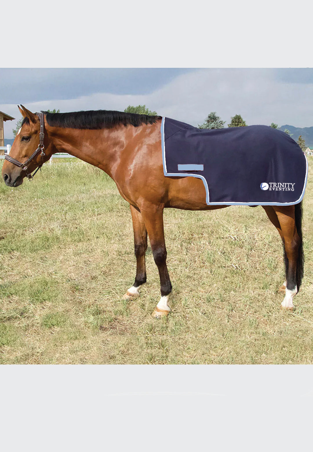 Trinity Eventing Jacks Coolerfleece Quarter Sheet, 2 Styles