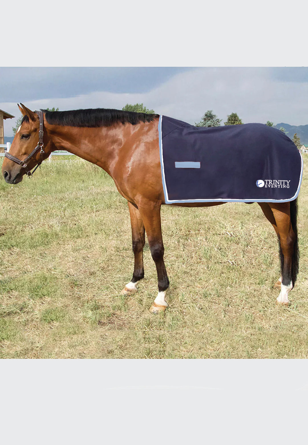 Trinity Eventing Jacks Coolerfleece Quarter Sheet, 2 Styles