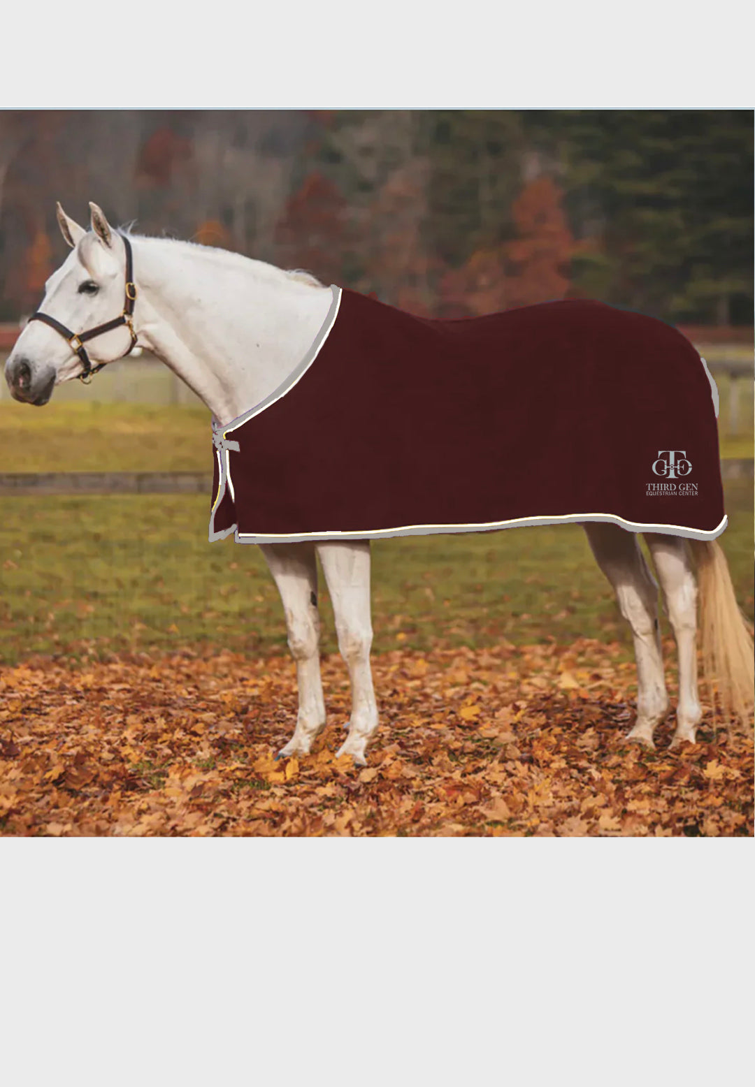 Third Gen Equestrian Center JACKS COOLERFLEECE DRESS SHEET