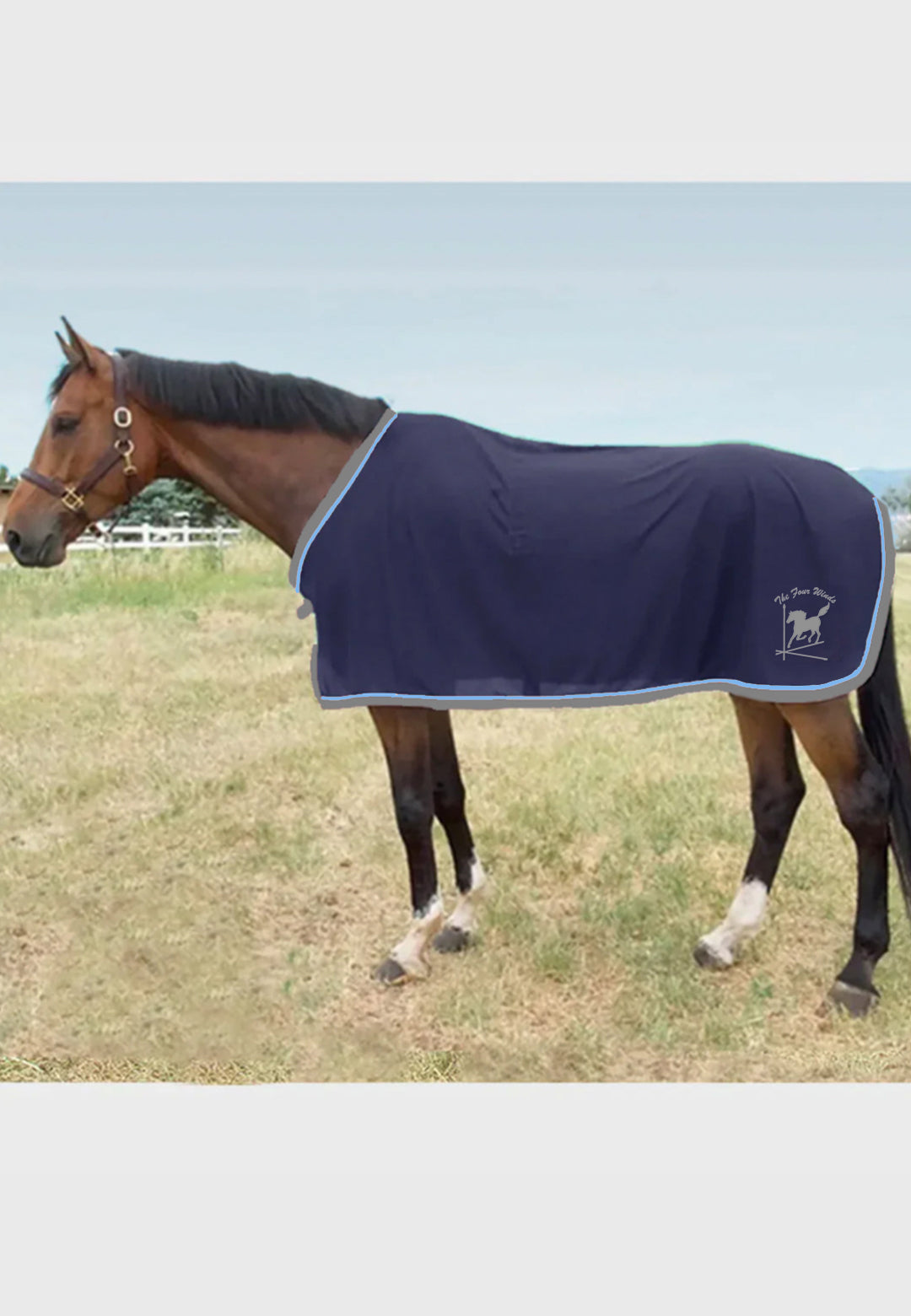 The Four Winds Scrim Fly Sheet
