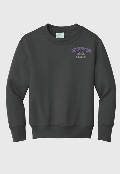 Welwyn Stable Port & Company® Essential Fleece Crewneck Sweatshirt - Adult (unisex)/Youth Sizes, 3 Color Options