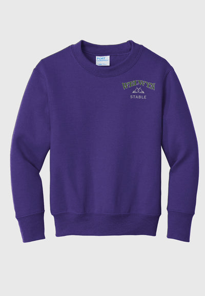 Welwyn Stable Port & Company® Essential Fleece Crewneck Sweatshirt - Adult (unisex)/Youth Sizes, 3 Color Options