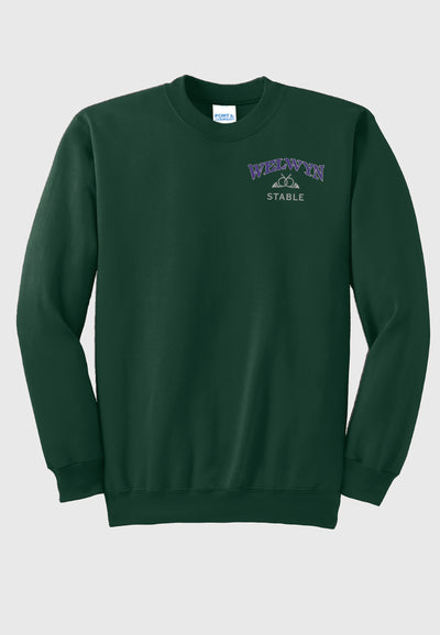 Welwyn Stable Port & Company® Essential Fleece Crewneck Sweatshirt - Adult (unisex)/Youth Sizes, 3 Color Options