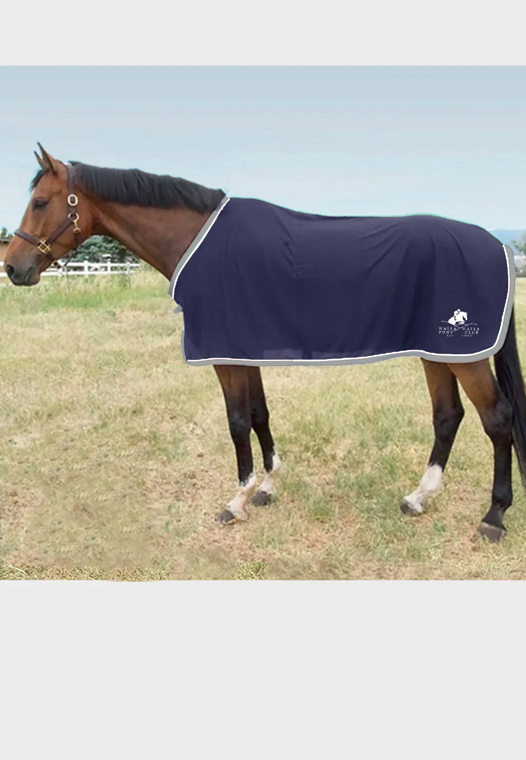 Walla Wall Pony Club Jacks Scrim Fly Sheet