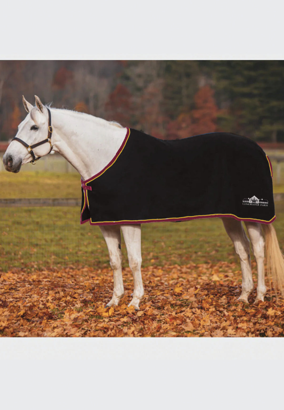 Langwater Farm COOLERFLEECE DRESS SHEET